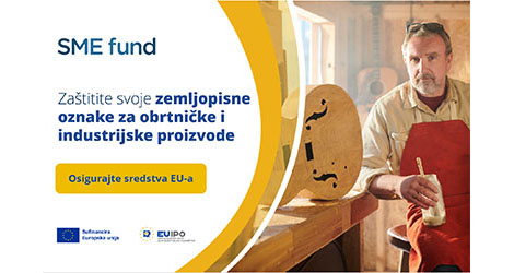 vizaul za fond za msp-ove
